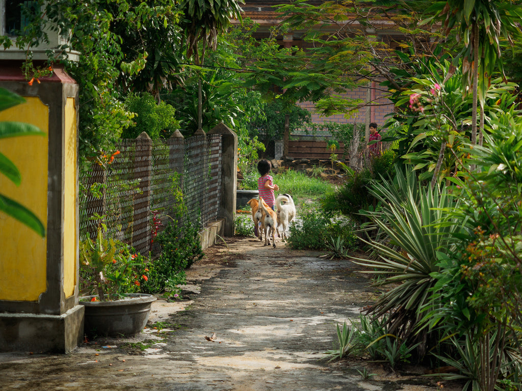 An Bang Vietnam